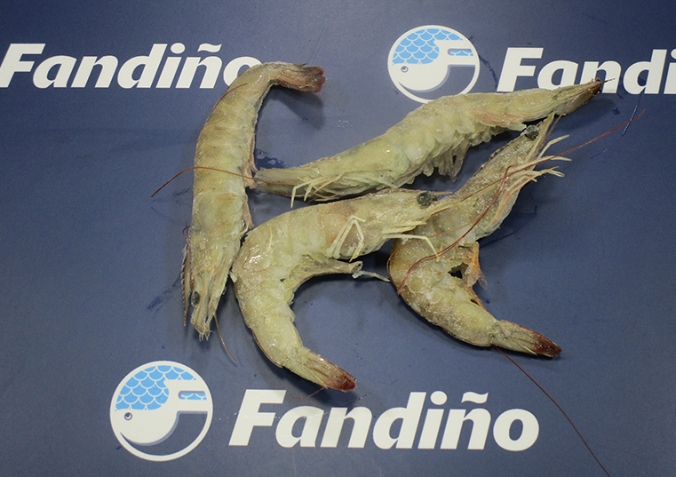 LANGOSTINO VANNAMEI 50/60