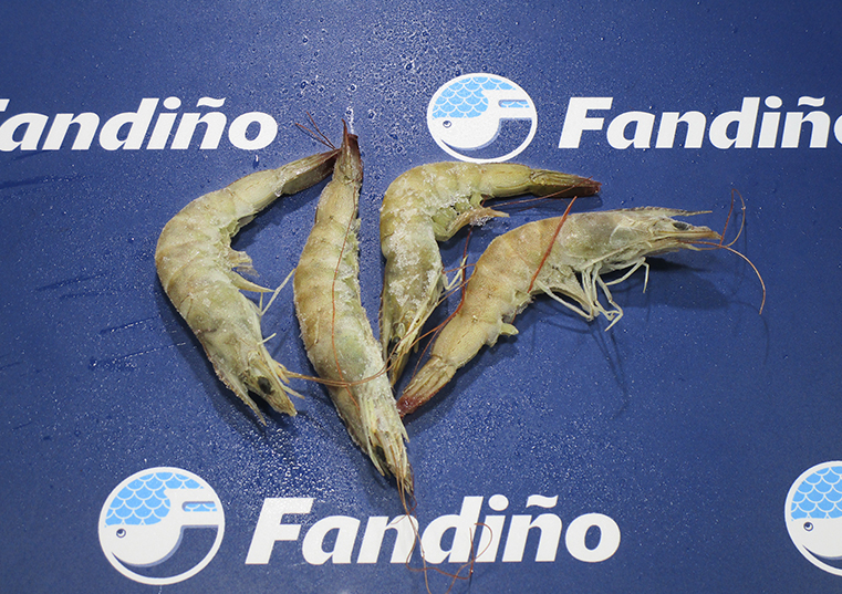 LANGOSTINO VANNAMEI 60/70